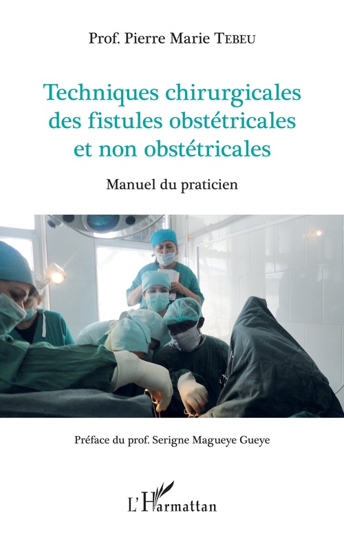 ebook cover of Techniques chirurgicales des fistules obstétricales et non obstétricales, by Pierre Marie Tebeu