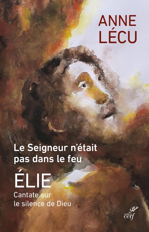 ebook cover of Le seigneur n'était pas dans le feu, by LECU ANNE