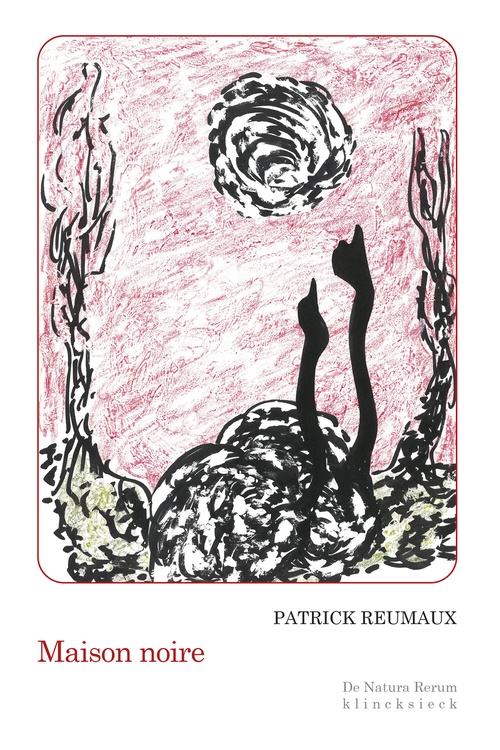 ebook cover of Maison Noire, by Patrick Reumaux
