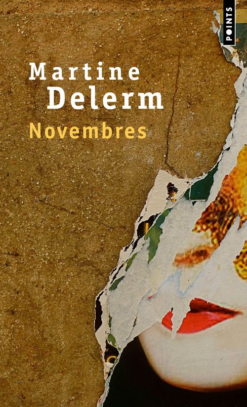 Couverture ebook de Novembres, de Martine Delerm