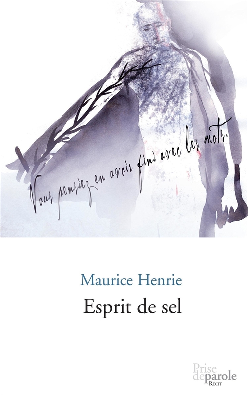 ebook cover of Esprit de sel, by Henrie Maurice