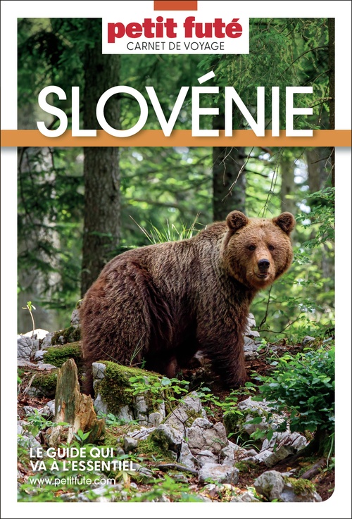 Couverture ebook de Guide Slovénie 2026 Carnet Petit Futé, de Collectif