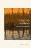 ebook cover of L'âge des accidents, by Catherine Perrin