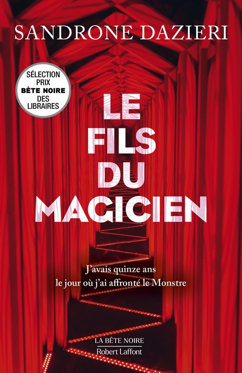 ebook cover of Le fils du magicien, by Sandrone Dazieri