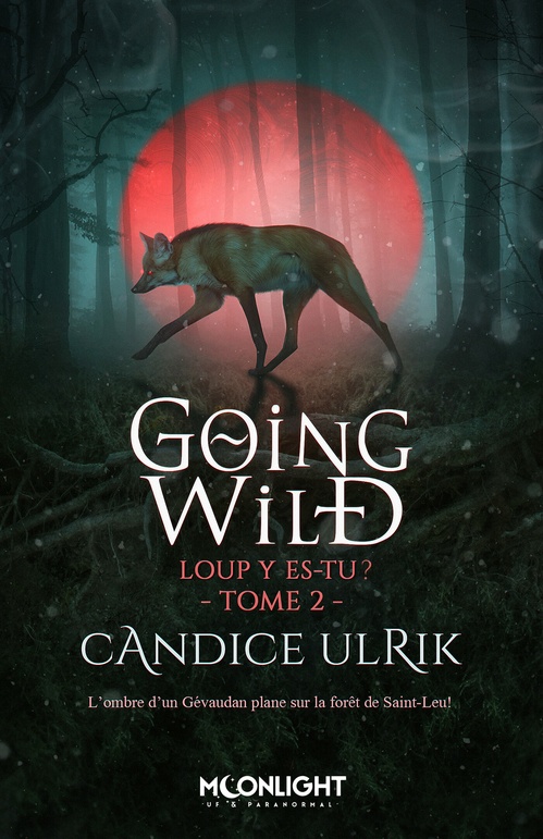 ebook cover of Loup y es-tu ?, by Candice Ulrik