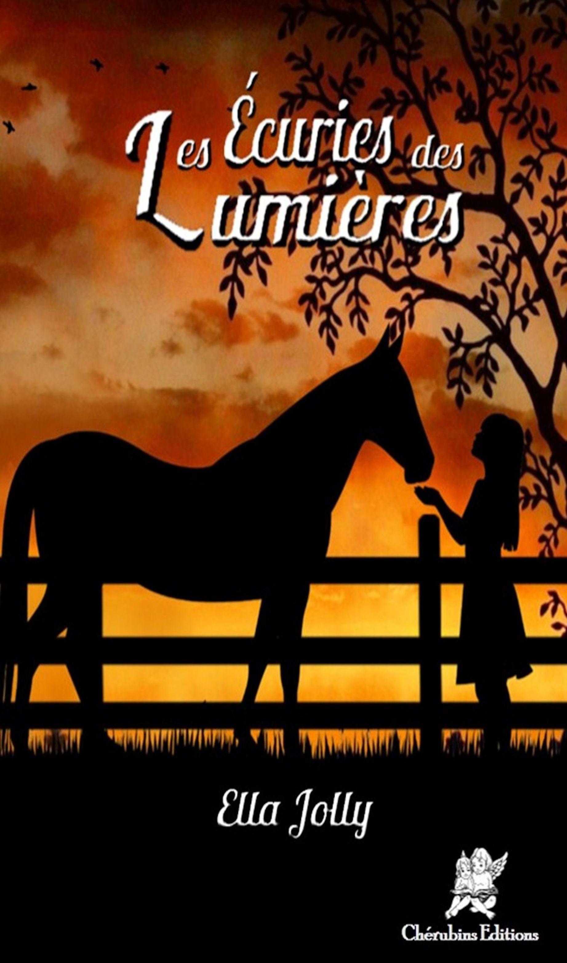 ebook cover of Les écuries des Lumières, by Ella Jolly