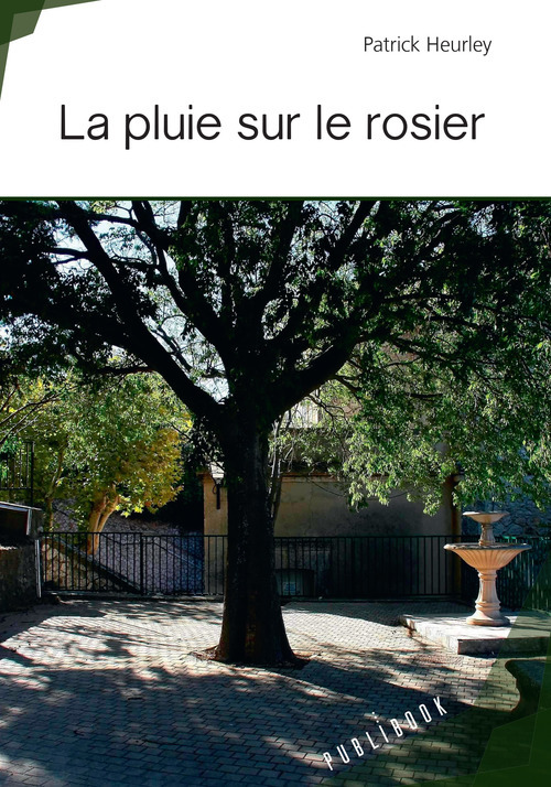 ebook cover of La pluie sur le rosier, by Patrick Heurley