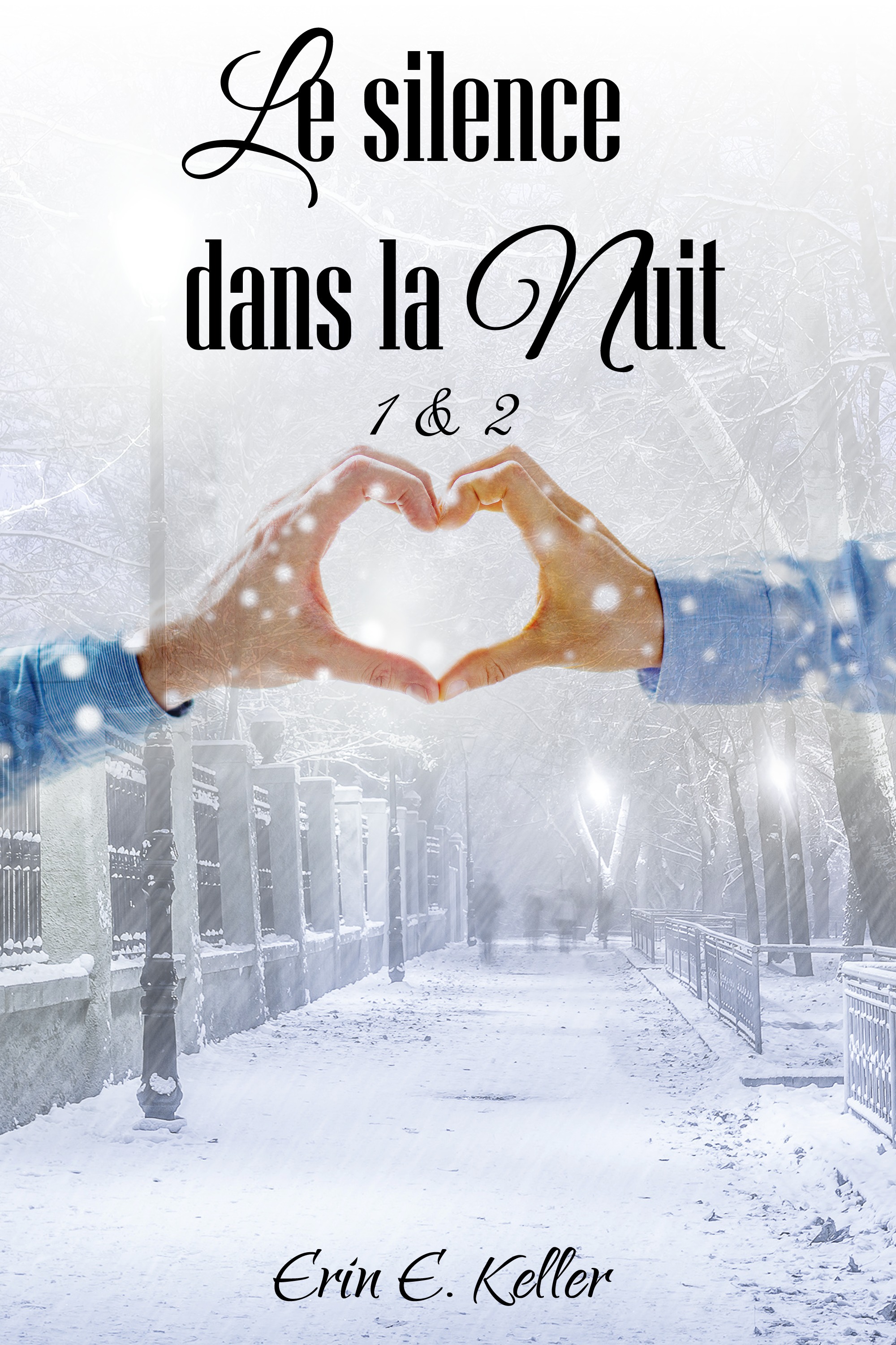 ebook cover of Le silence dans la nuit 1 & 2, by Erin E. Keller