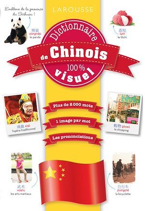 ebook cover of Dictionnaire de chinois 100% visuel, by Collectif
