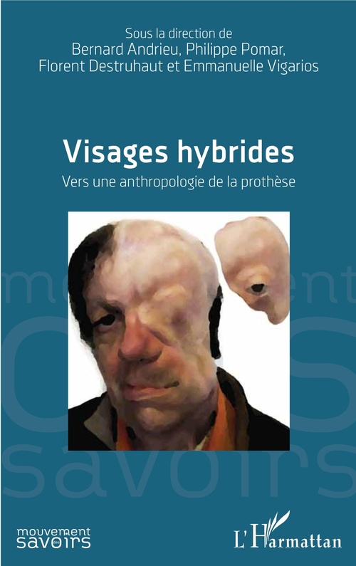 ebook cover of Visages hybrides, by Collectif