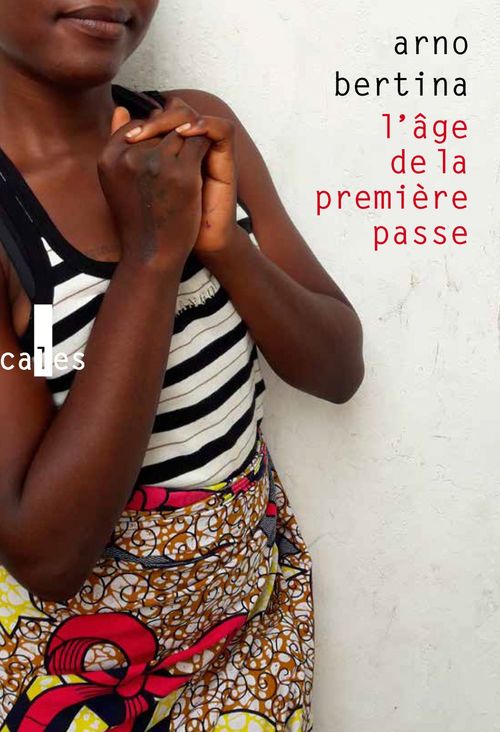 ebook cover of L'âge de la première passe, by Arno Bertina
