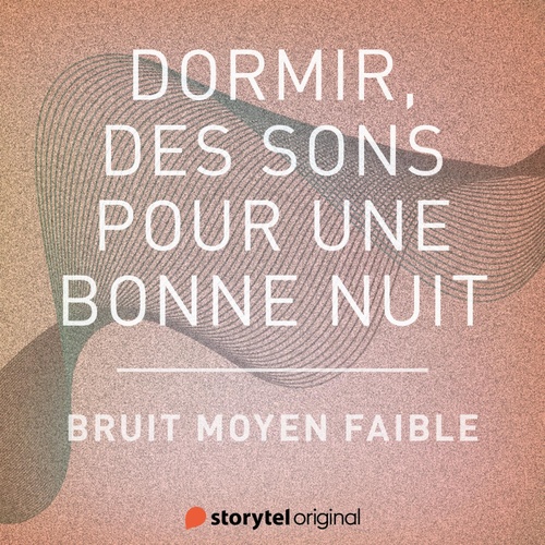 audiobook cover of Bruit moyen faible, by Patricio Samuelsson