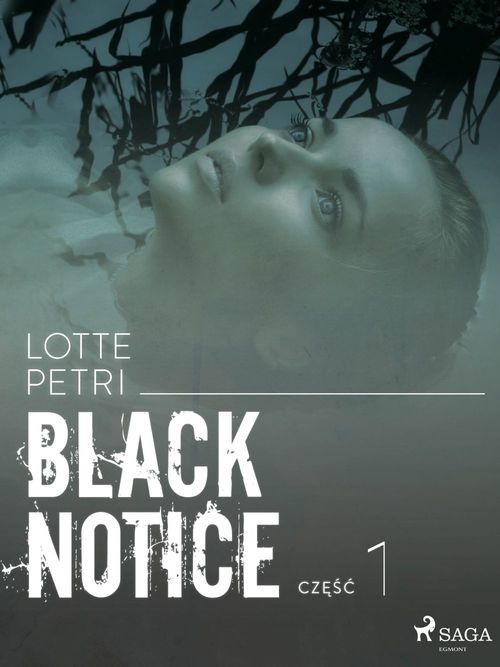 ebook cover of Black notice: cze´s´c 1, by Lotte Petri