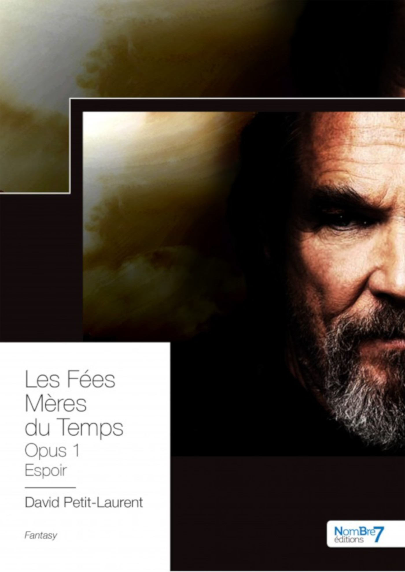 Couverture ebook de Les Fées Mères du Temps - Opus 1, de David Petit-Laurent