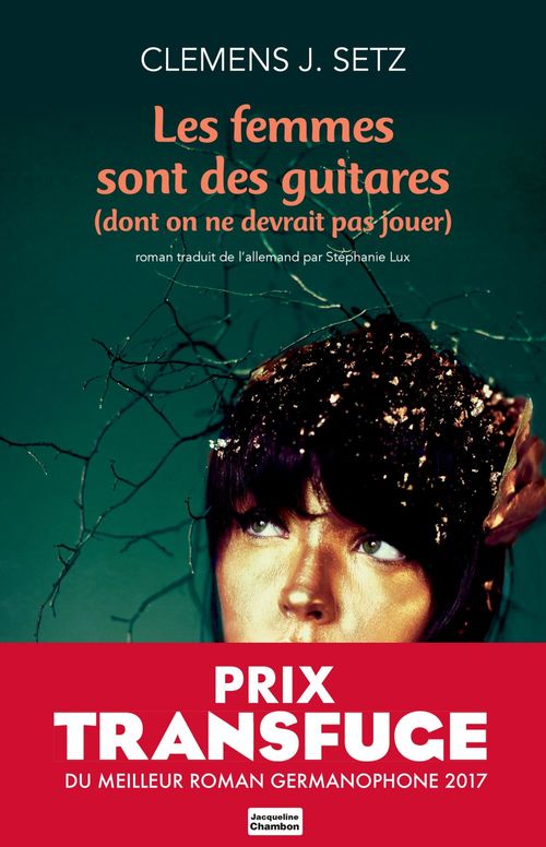 ebook cover of Les femmes sont des guitares (dont on ne devrait pas jouer), by Clemens j. Setz
