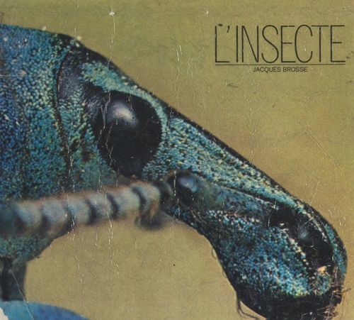 Couverture ebook de L'insecte, de Jacques Brosse