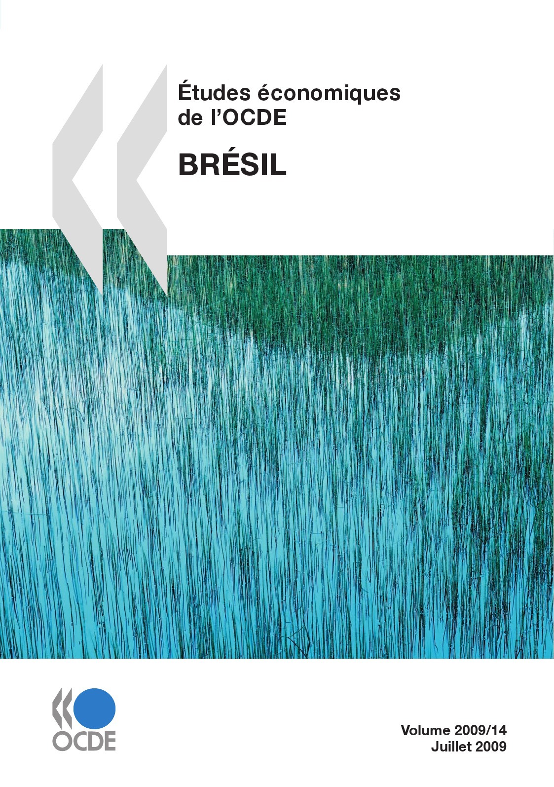 Couverture ebook de Études économiques de l'OCDE : Brésil 2009, de Collectif