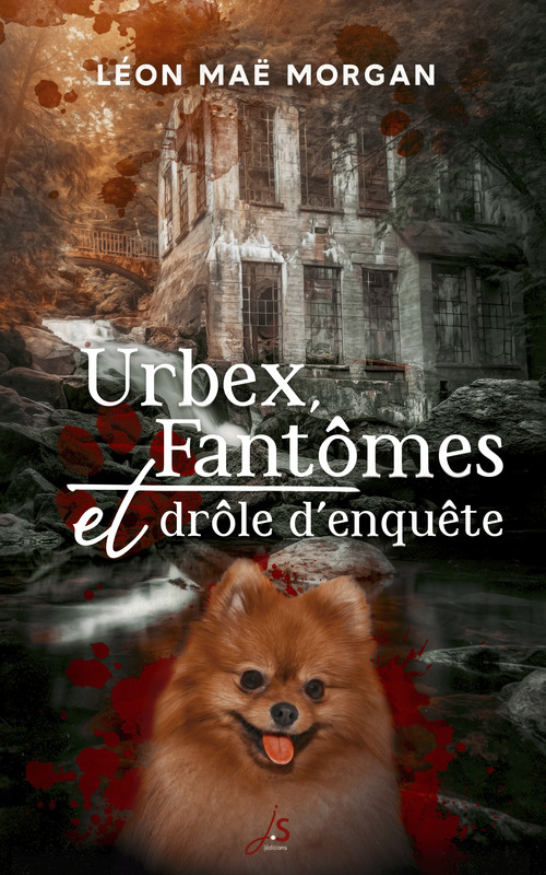 ebook cover of Urbex, fantômes et drôle d'enquête, by Léon Maë Morgan