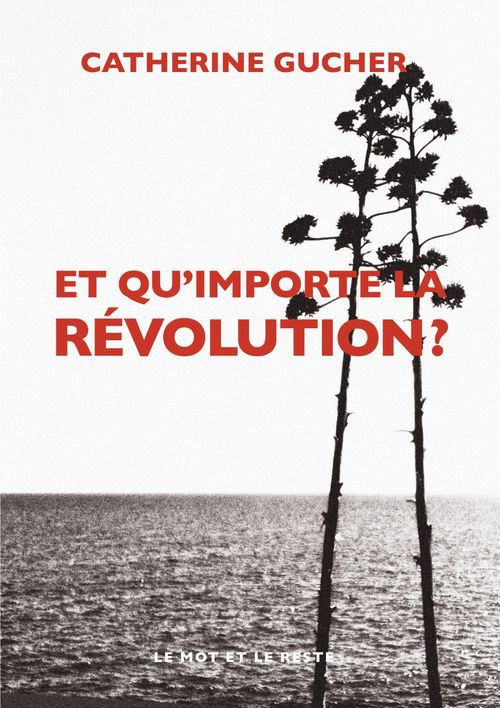 Couverture ebook de Et qu'importe la révolution ?, de Catherine Gucher