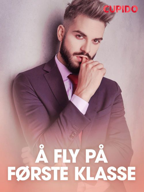 Couverture ebook de Å fly på første klasse - erotiske noveller, de Cupido