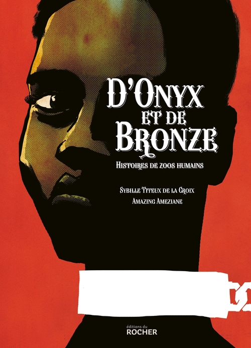 ebook cover of D'onyx et de bronze, by Amazing Ameziane