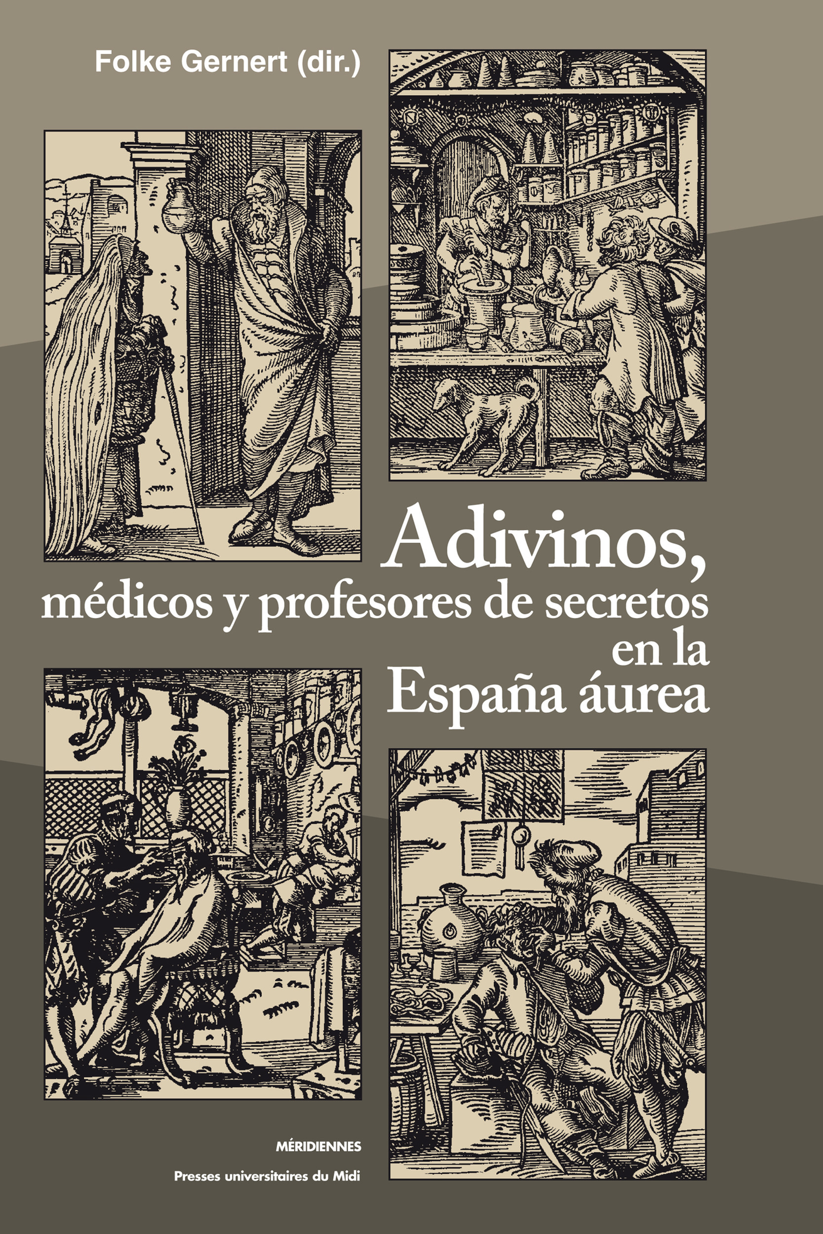 ebook cover of Adivinos, médicos y profesores de secretos en la España áurea, by