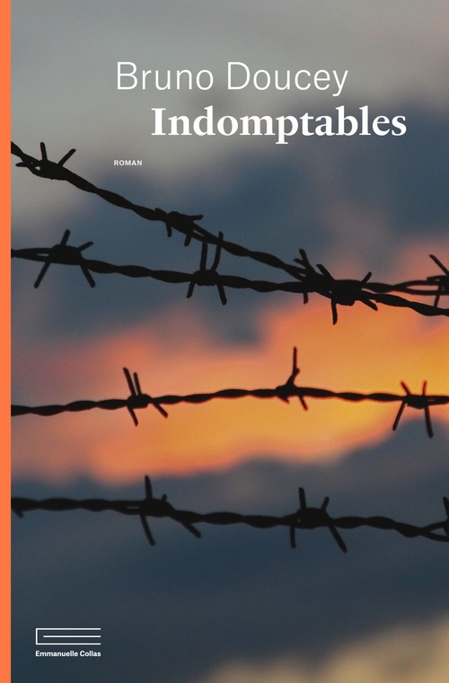 Couverture ebook de Indomptables, de Bruno Doucey