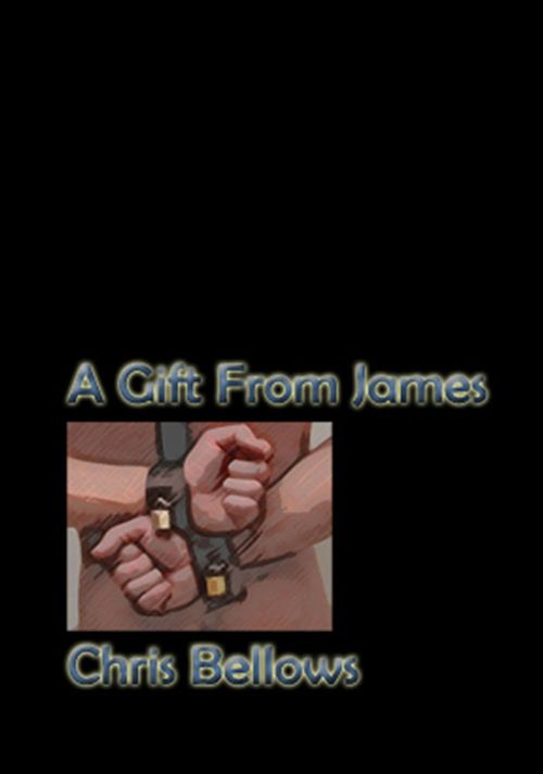 Couverture ebook de A Gift From James, de Chris Bellows