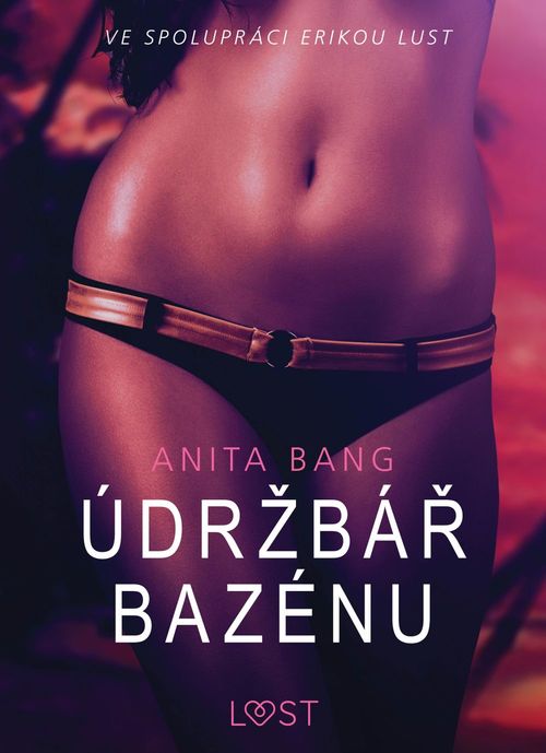 ebook cover of Údrzbár bazénu - Sexy erotika, by Anita Bang