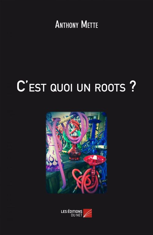 ebook cover of C'est quoi un roots?, by Anthony Mette