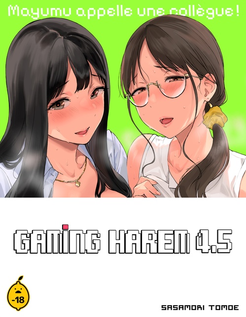 ebook cover of GAMING HAREM - Tome 4.5, by Sasamori Tomoe