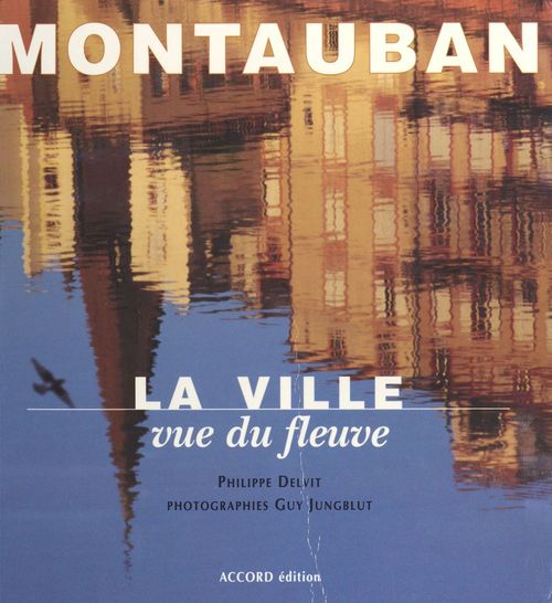 ebook cover of Montauban, la ville vue du fleuve, by Jungblut Delvit
