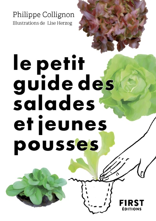 ebook cover of Le Petit Guide des salades et jeunes pousses, by Philippe Collignon