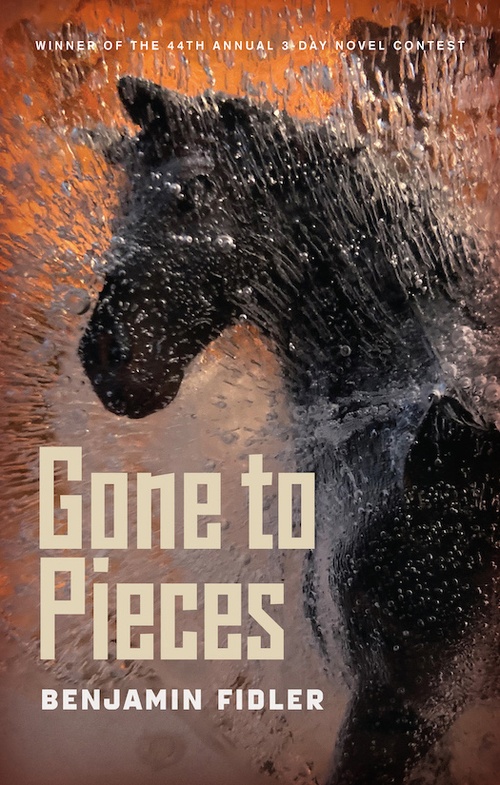ebook cover of Gone to Pieces, by Benjamin Fidler