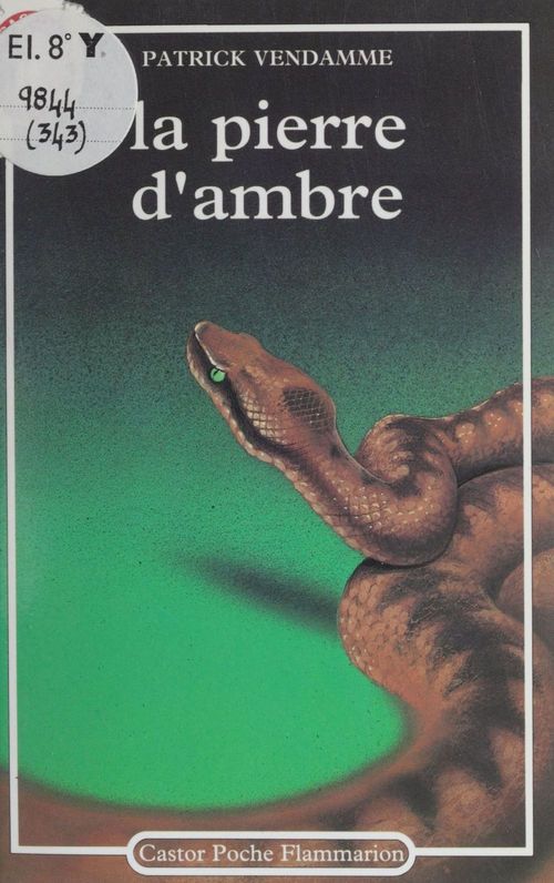 ebook cover of La Pierre d'ambre, by Patrick Vendamme