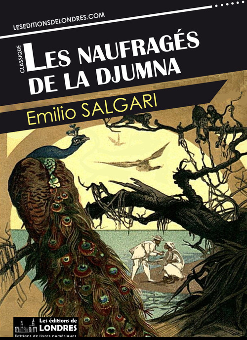 ebook cover of Les naufragés de la Djumna, by Emilio Salgari