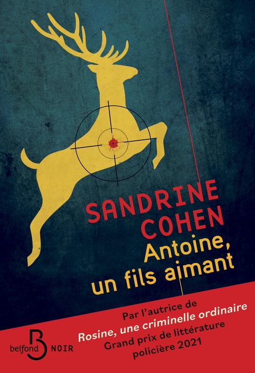 Couverture ebook de Antoine, un fils aimant, de Sandrine Cohen