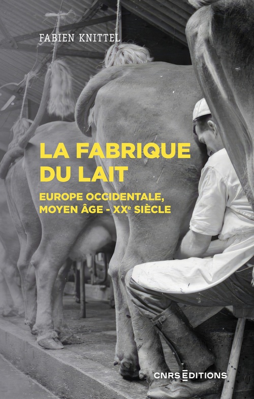 ebook cover of La fabrique du lait - Europe occidentale, Moyen-Age XXe siècle, by Fabien Knittel