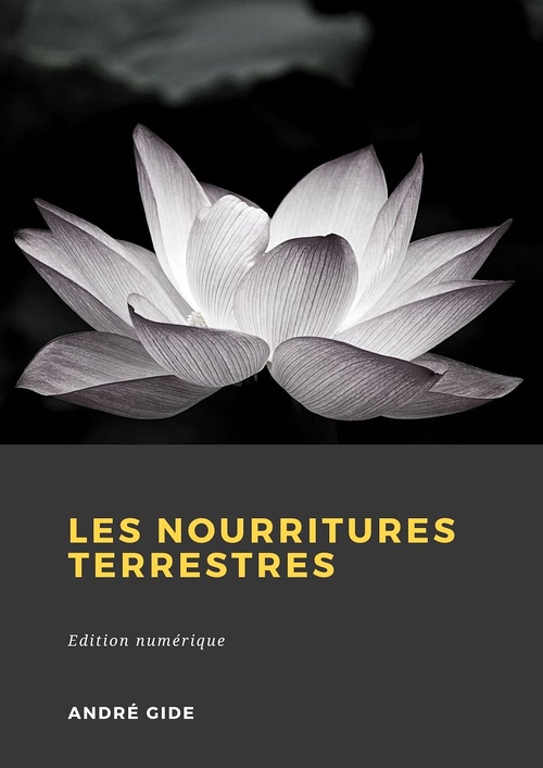 Couverture ebook de Les Nourritures terrestres, de André Gide