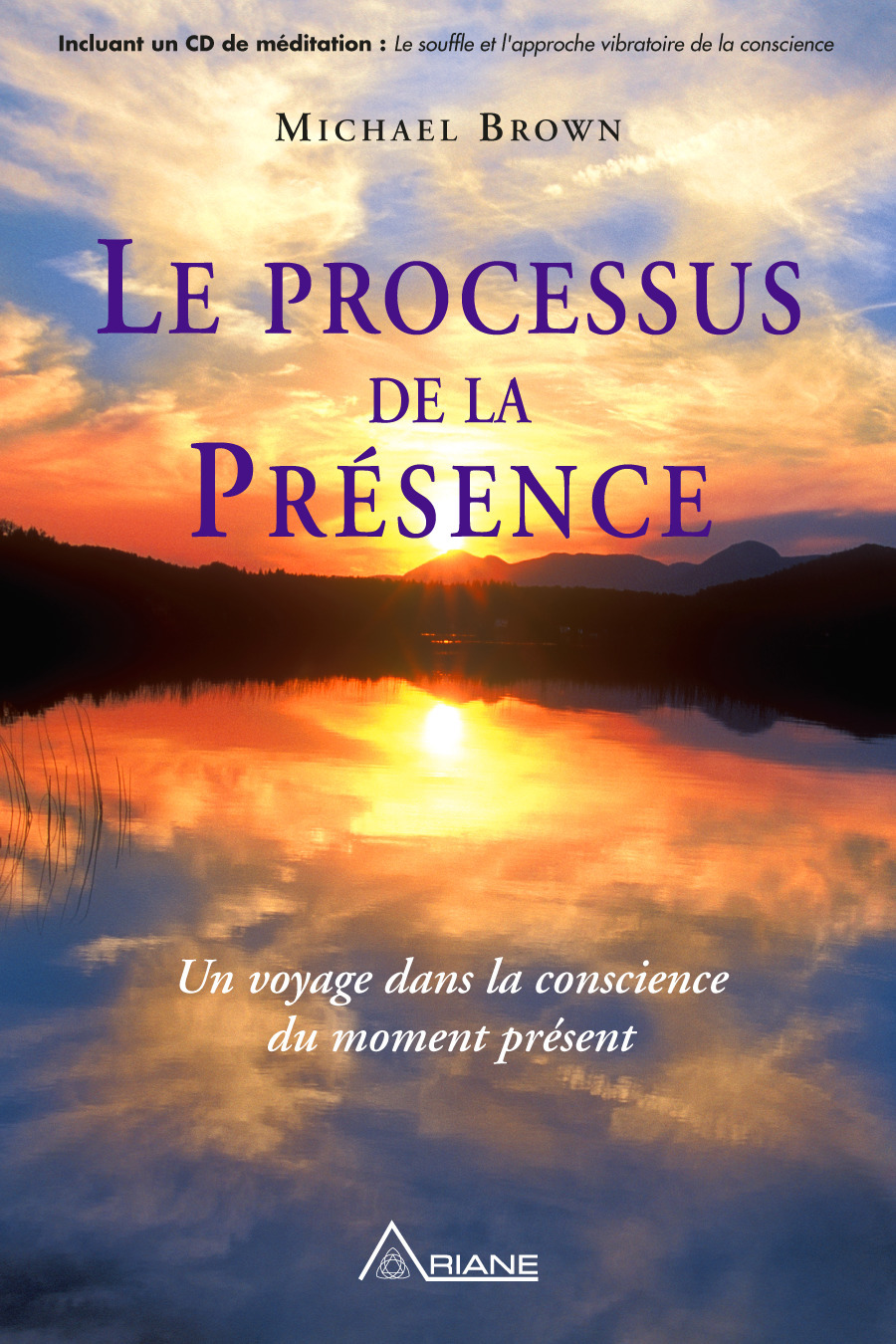 ebook cover of Le processus de la présence, by Michael Brown