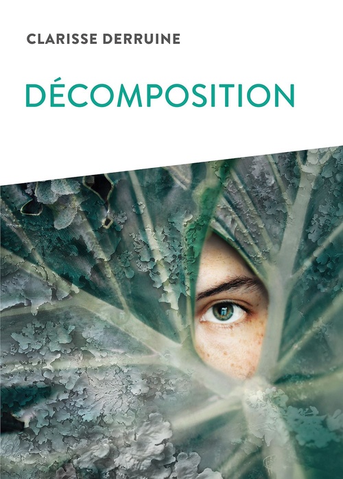 ebook cover of Décomposition, by Clarisse Derruine