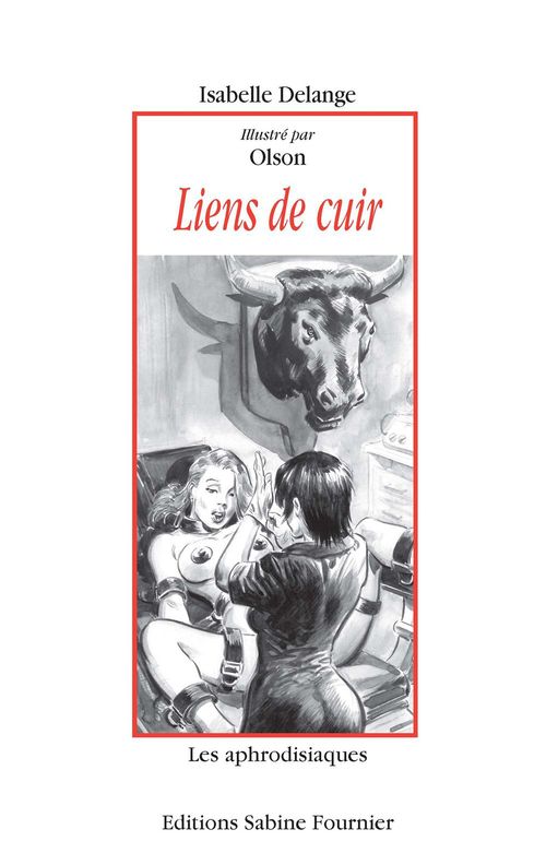 Couverture ebook de Liens de cuir, de Isabelle Delange