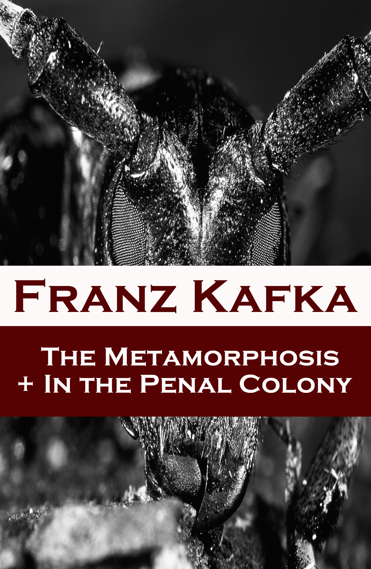 ebook cover of The Metamorphosis + In the Penal Colony (2 contemporary translations by Ian Johnston), by Franz Kafka