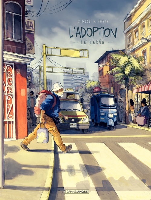 ebook cover of L'adoption - Cycle 1 - Tome 2, by Zidrou, Arno Monin