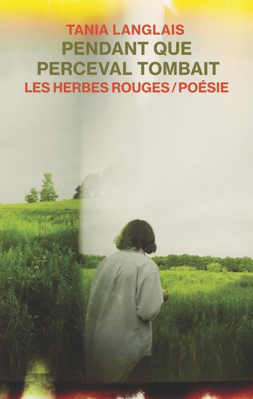 ebook cover of Pendant que Perceval tombait, by Tania Langlais