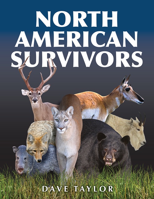 Couverture ebook de North American Survivors, de Dave Taylor