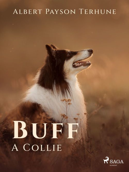 Couverture ebook de Buff: A Collie, de Albert Payson Terhune