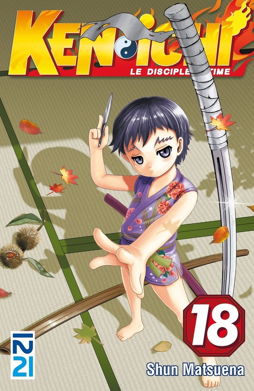 ebook cover of Ken-ichi - tome 18, by Shun Matsuena