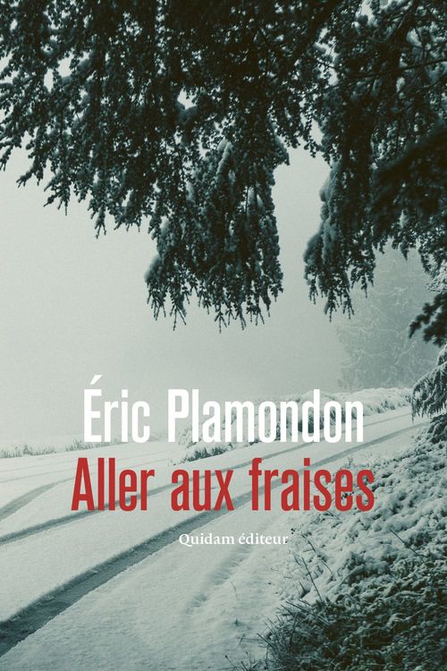 ebook cover of Aller aux fraises, by Eric Plamondon