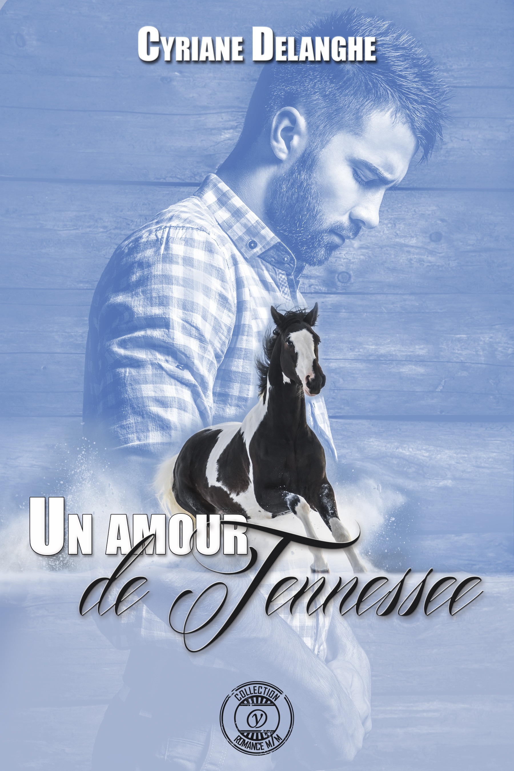 Couverture ebook de Un amour de Tennessee, de Cyrianne Delanghe